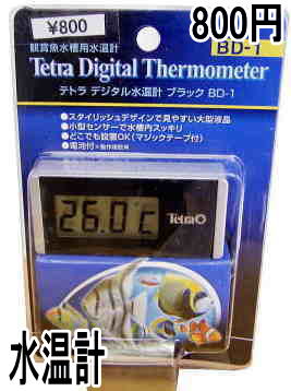 テトラ デジタル水温計