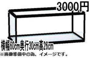 GEX マリーナガラス水槽600 Low(60サイズ水槽高さ26センチ)