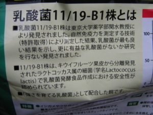 乳酸菌11/19-B1株