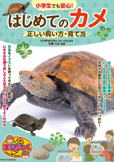 小学生でも安心！はじめてのカメ 正しい飼い方・育て方
